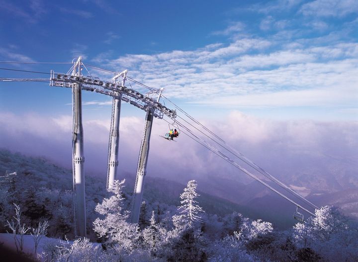 From Slopes to Culture: Skiing in South Korea Offers an Immersive Experience